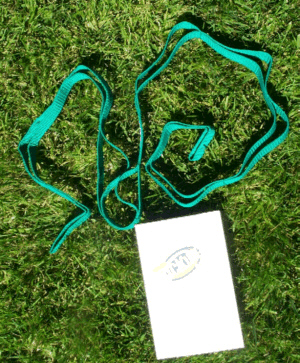 Stretching Strap